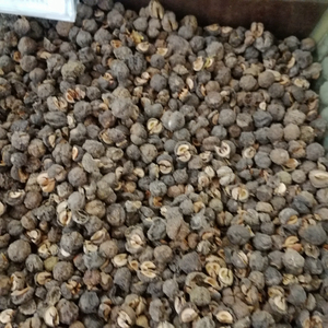 Yuganzi khô Amla phyllanthi Fructus các loại trái cây chín của phyllanthus emblica L. để bán - Product Image 5