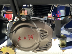 Tricycle motorisé à essence Offre Spéciale de Chine moteur à essence 175CC <span class=keywords><strong>moto</strong></span> tricycle cargaison et passagers <span class=keywords><strong>Canam</strong></span> - Product Image 4