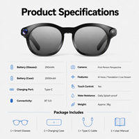 Lunettes Intelligentes de Traduction IA avec Étui de Recharge Autonome, Batterie 290 mAh, Diffusion en Direct et Assistant Vocal IA