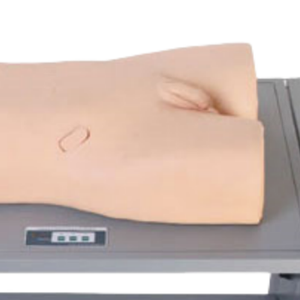 Mannequin d'entraînement à la ponction thoracique ADA CK818/CK819 en PVC médical pour la cavité thoracique, ponction d'abcès hépatique, simulation de ponction thoracique - Product Image 3