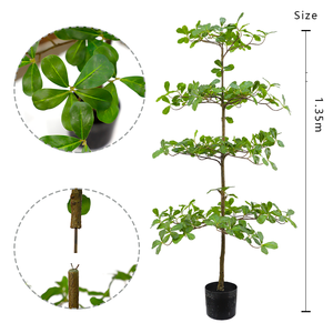 Plastic <b>Artificial</b> Terminalia Mantaly <b>Tree</b> UV Resistant Eco-Friendly Fire Retardant Customizable Height Modern Home <b>Outdoor</b> - Product Image 2