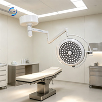 Lampe chirurgicale LED à double dôme à CRI élevé pour plafond, idéale pour les salles d'opération vétérinaires