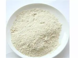 Poudre de protéines de soja biologique pour la vente en gros, isolat de protéines de soja Soluble dans l'eau