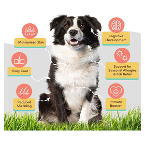 OEM suplemen hewan peliharaan Multivitamin tetes untuk anjing dan kucing kulit dan mantel alergi menghilangkan Gut vitamin kesehatan pencernaan untuk anjing - Product Image 5