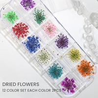 MyBeautyNails – Lot de 12 couleurs de fleurs séchées naturelles pour décoration d'ongles, compatibles avec le gel de construction et les moules à ongles