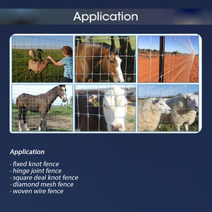 Clôture de fer de style haut de gamme, écologique, pour <span class=keywords><strong>la</strong></span> protection <span class=keywords><strong>des</strong></span> <span class=keywords><strong>animaux</strong></span> <span class=keywords><strong>en</strong></span> extérieur - Product Image 4