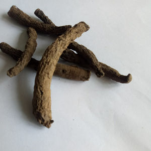 Xian Mao Atacado Preto Kali Curculigo Orchioides Raízes para Venda - Product Image 6