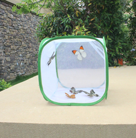 Vert Pliable Papillon Habitat Cage Fermeture À Glissière Pop-up Insecte Élevage Maille Net Maison pour Insectes Papillons