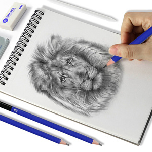 Juego de 35 Lápices de Dibujo con Lápices de Grafito y Carbón, Kit de Dibujo con Borradores, Materiales de Arte para Artistas y Estudiantes - Product Image 4