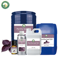 Huile Essentielle de Feuille de Perilla 100% Pure pour l'Aromathérapie, les Soins de la Peau, le Massage Capillaire, Qualité Alimentaire, Cosmétique, Vente en Gros, Fournisseur OEM