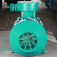 Moteur électrique asynchrone à courant alternatif triphasé antidéflagrant IC411 IC611