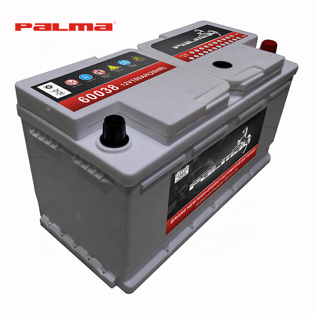 Palma 60038 100Ah 12V AGM EFB High-Performance Start-Stop System Deep Cycle Automotive Battery New
