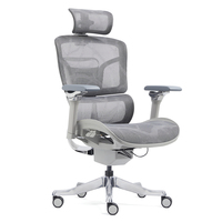 2025 Chaise ergonomique en maille moderne avec mécanisme d'auto-équilibrage Repose-pieds pliable Support lombaire réglable pour le soulagement des maux de dos