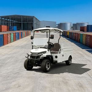 Carrito de Golf Eléctrico BETETEK de 2 Plazas, Diseño Moderno y Compacto, para Campos de Golf y Caminos Privados - Product Image 1