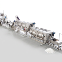 Aardappelvlokken productielijn 2000kg/u grote capaciteit automatische droog- en maalinstallatie voor aardappelgranulaatfabriek