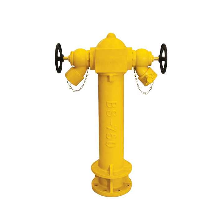 BS-750 Ductile Cast Iron 2-Way DN100 Outlet Pillar Fire Hydrant with Landing Valve