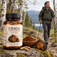 Poudre d'extrait de champignon Chaga de qualité supérieure, matière première naturelle de Chaga sauvage pour le thé, riche en polysaccharides, disponible en OEM