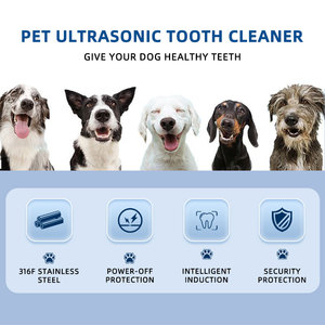 Nettoyeur <span class=keywords><strong>dentaire</strong></span> ultrasonique rechargeable en acier inoxydable pour animaux de compagnie, portable, blanchissant, détartreur <span class=keywords><strong>dentaire</strong></span> pour chiens et chats - Product Image 2