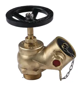 Fire Hydrant Fire Hose Dry Riser Types of Landing Valve