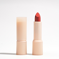 Lot de rouges à lèvres mats véganes et sans cruauté animale, 16 couleurs naturelles, longue tenue 24h, personnalisable avec votre logo