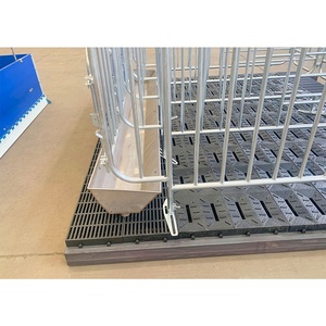 Nouvel équipement d'élevage porcin de haute qualité, cages de gestation galvanisées à chaud anti-corrosion avec une longue durée de vie pour les porcs - Product Image 6