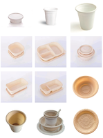 Mesin Produksi Thermoforming Otomatis Penuh untuk Pembuatan Gelas Minum Sekali Pakai Berbahan Bambu Bio Plastik