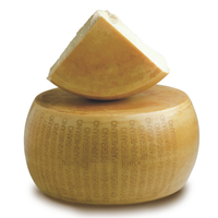 Queso Duro Italiano Premium de 40 kg, Añejado 24 Meses, Fermentación Intensa, Sabor Intenso, Proteína de Leche de Vaca Cruda, Envasado en Caja