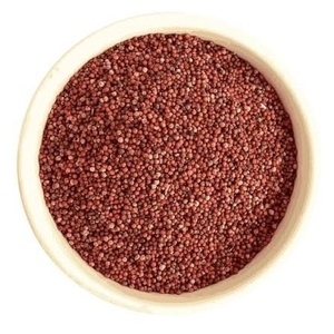 Millet en grains (Ragi) – Épice entière pour la transformation alimentaire et la cuisine – Marque SD du Madhya Pradesh - Product Image 3