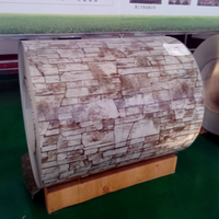 Bobina de Acero Galvanizado Prepintado PPGI PPGL DX51D, Rango de Espesor para Tejas Corrugadas, Panel Sándwich, Material para Techos de Edificios
