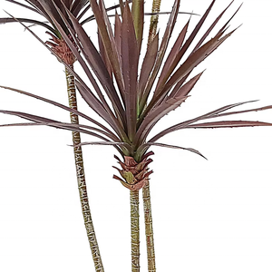 Fábrica al por mayor plantas suculentas <span class=keywords><strong>Agave</strong></span> hierba de plástico <span class=keywords><strong>Agave</strong></span> artificial para decoración interior exterior - Product Image 5