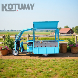 Chariot <span class=keywords><strong>de</strong></span> nourriture multifonctionnel tricycle électrique, chariot à hot-dog, <span class=keywords><strong>hamburger</strong></span>, boissons et frites - Product Image 6