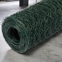 Maille hexagonale enduite de PVC en gros de gabion pour les clôtures de cages de fil de poulet de filet de stuc