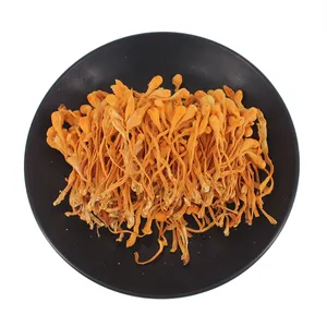 High-quality Cultivation Dried Cordyceps Flower Whole Cordyceps Sinensis militaris natural air-dried Cordyceps