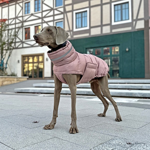 Chaqueta de plumón para perro de cuello alto, ropa para perro <span class=keywords><strong>galgo</strong></span> de alta calidad, Abrigo acolchado para mascotas grande, impermeable para exteriores - Product Image 1