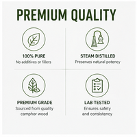 Fournisseur en gros d'huile essentielle de camphre blanc, marque privée, 100 % pure et naturelle pour l'aromathérapie et la guérison, exportateurs en vrac