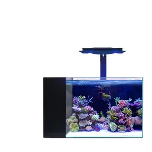 Tanque de peces de mar integrado, Coral creativo personalizado, precio bajo