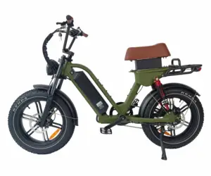 Electric Bike Queene/super Model New 20 Inch Fat Tire E Bike Super Electric Bicycle 73