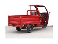 Tricycle électrique ouvert personnalisé >1000W 60V, étanche, passagers-marchandises, camionnette à 3 roues, 200-300 kg