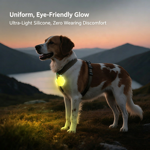 Collar de Perro con Luz LED, Etiqueta de Seguridad para Perros, Luces Nocturnas para Perros y Gatos, para Correr, Acampar, Escalar, Ciclismo - Product Image 6