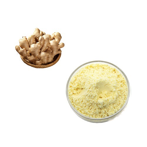 20: 1. Ginger Extract, Water-soluble Ginger Powder, Available in Stock for Food Grade Supply