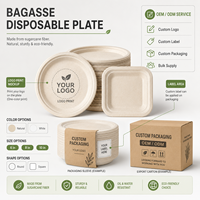 Assiette jetable en bagasse de canne à sucre Trendz pour événements de restauration et achats en gros pour services alimentaires