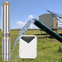 Ensemble de pompes de puits solaires submersibles en acier inoxydable 4 pouces 0,5 hp 1hp 3hp 750w Système d'irrigation de surface