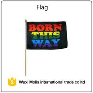 Bandera del Orgullo Arcoíris Personalizada con Diseño de Nacido de Esta Forma para Eventos, 100% Poliéster, 3x5 pies, Bandera del Orgullo LGBTQ con Dos Ojales - Product Image 4