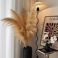 Rumput Pampas Bulu Besar Berkualitas Tinggi Ramah Lingkungan, Ketinggian Lebih dari 120cm, Grosir, untuk Dekorasi Interior Acara, Gaya Boho