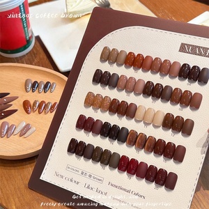 Set di 20 Colori Smalto Gel per Unghie Stile Retrò Macaron, Colori Marroni e Caramello, Senza Residui, per Autunno e Inverno - Product Image 2