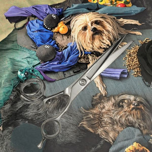 Tijeras de peluquería para mascotas de alta gama de Taiwán, para diestros, de 8 pulgadas, con mango curvo y punta de acero inoxidable, para perros y gatos - Product Image 3