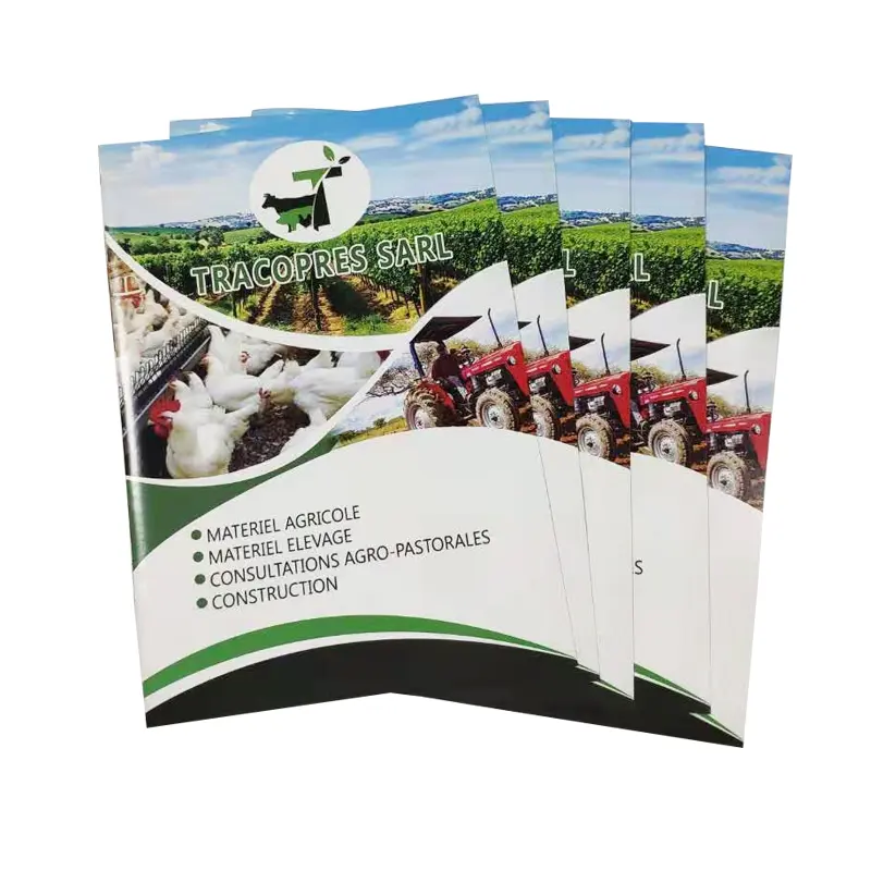 Wholesale Price Promotion Flyer Printing Leaflet Printing Service High Quality Photo Book Matte Full Color Catalogue Printing