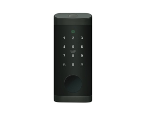 กุญแจล็อคประตูอัจฉริยะแบบไร้กุญแจ Tuya Smart TT LOCK มาตรฐานอเมริกัน พร้อมระบบสแกนลายนิ้วมือ - Product Image 1