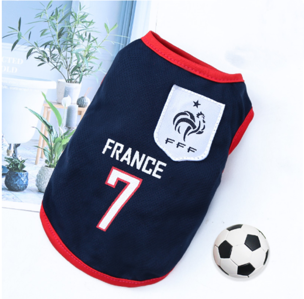 Zangqing No.7 France