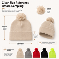 Gebreide muts met opdruk, pompon, boord, winterwarm, unisex, acryl, met aangepaste logo-patroon van de fabrikant.